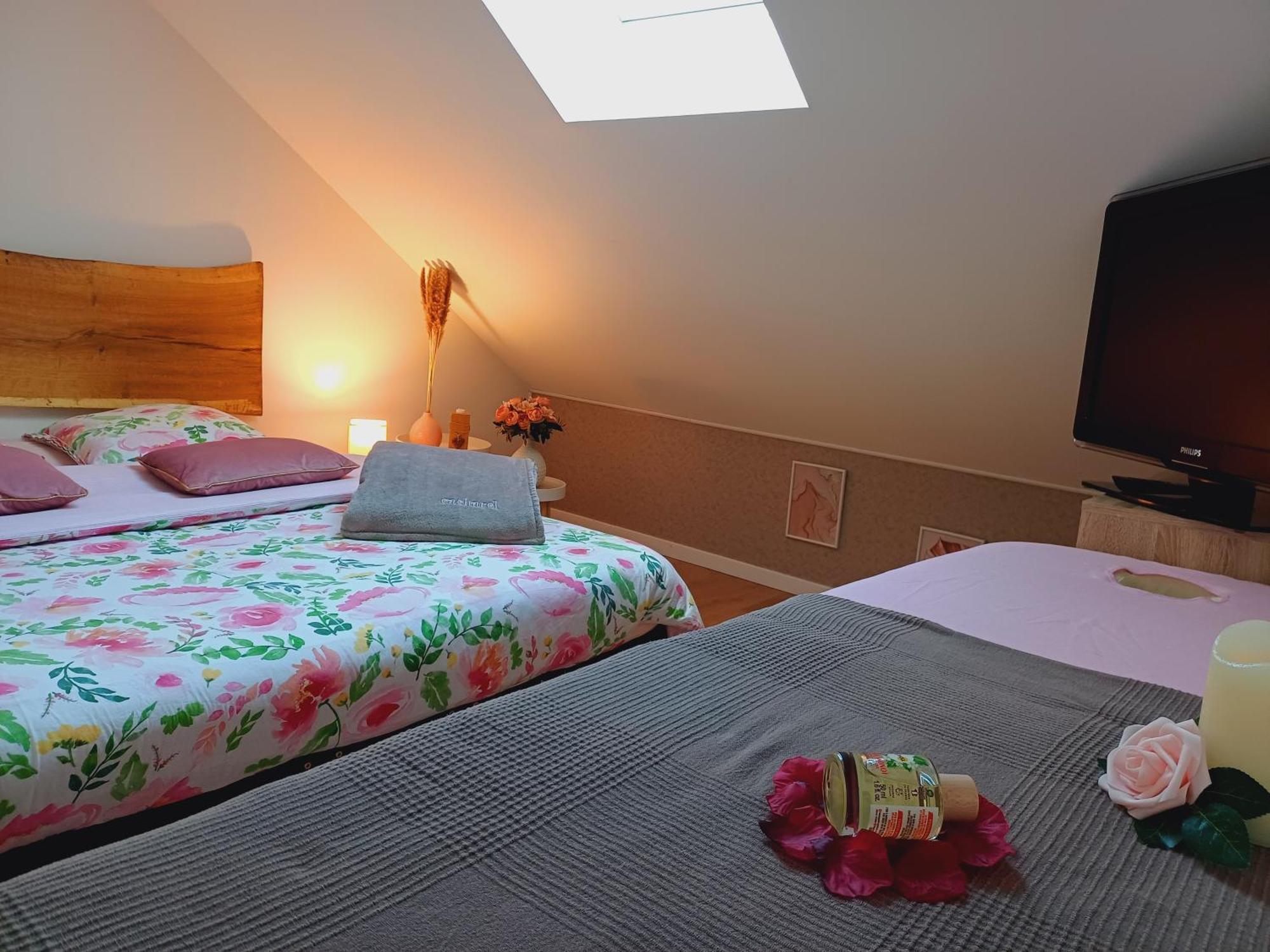 Le Sablon - Appartement Bien-Etre, Spa & Massages A 20Mn De Reims Centre Unchair Bagian luar foto